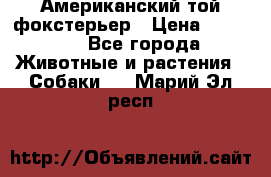 Американский той фокстерьер › Цена ­ 25 000 - Все города Животные и растения » Собаки   . Марий Эл респ.